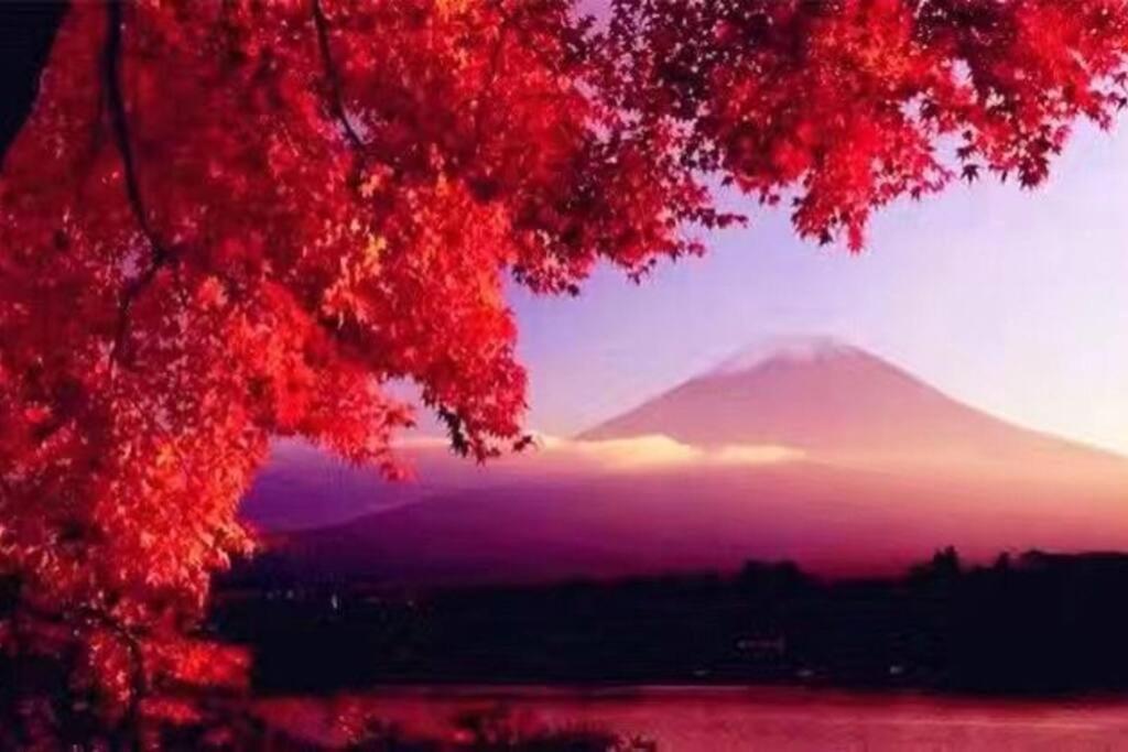 야마나카코 Away From Noise,View Fuji Mt In The Designer House 빌라 외부 사진